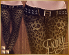 [E] Limited Pant Leo