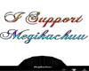 I Support Megikachuu