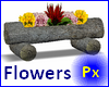 Px Flowers