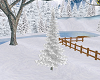 Snowy Winter tree 2