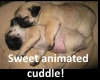 Christmas Cuddle Animate