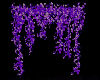 Gig-Purple Ivy