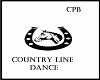 Full Country Line Dance