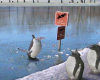 Penguin Diving in Ice