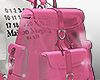 Transparent Bag