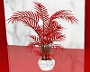 Willow Leaf Red plant
