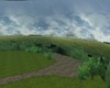 OPEN FIELD3 FOR TREEHOUS