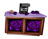 pruple rose 2
