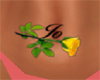 BBJ Yellow Belly rose Jo