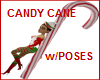 CANDY CANE W/POSES