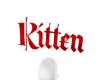 Kitten