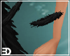 Crow Keeper Feathers