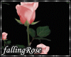 Falling Pink Roses