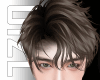 Damien