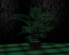 green plant 2