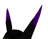 purple pika ears