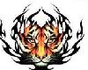 triable tiger tattoo