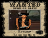WANTED -  spider 1