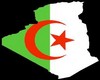 Y.A.C algerie