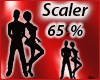 65 % Scaler 