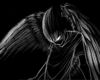 dark angel 8