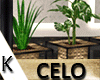 (K)CELO.M.G.Plants