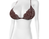 EU Soft Wine Lace Bra !