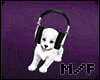 Dog DJ - M / F
