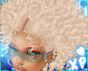 𝓧 ☆ Dani