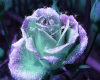 Purple Rose Dreams