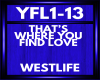 westlife YFL1-13