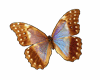 stikers  farfalla colora