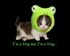 i'm a frog