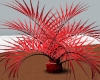 Animated red plant