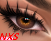NXS Boujee Eyes Honey