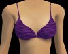 Dlish~Purple Bikini Top