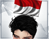 Indonesian flag