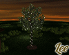 Lighted Tree