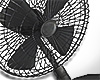 Animated Fan