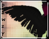 P| Raven Wings 2