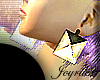 |Joy| TheSquare Earrings