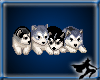 Animated: Wolf Pups
