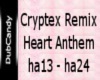DC Heart Anthem Rmx P2