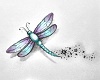 JC*Dragonfly Dance Spot