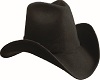 Black Hat With Emblem