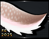 . Adore | Tail