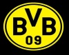 ❤ BVB Light