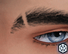 |AV| Charles' Eyebrows#1