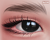 w. Kawaii Brown Eyebrows