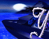 Dragon Boat Moonlight